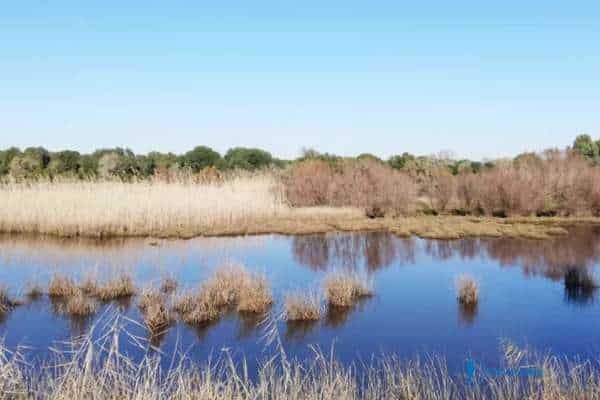 Paisaje del Parque Nacional de Doñana