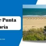 Playa de Punta Umbría: Descubre sus Impresionantes Playas