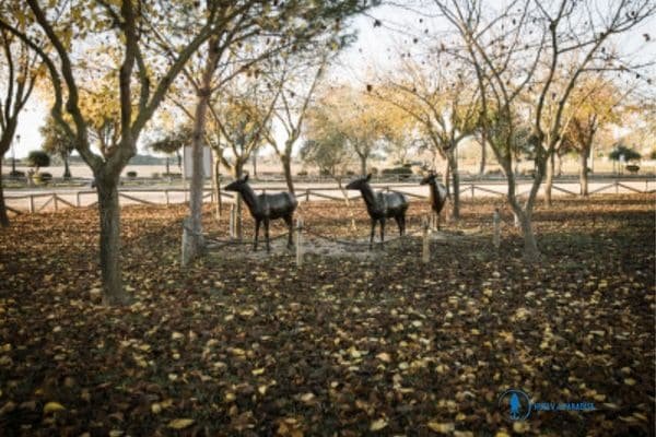 doñana en otoño