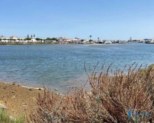 marismas de isla canela