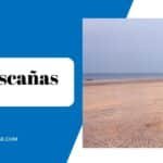 Que Ver en Matalascañas: Descubre que hacer en estas playas de ensueño