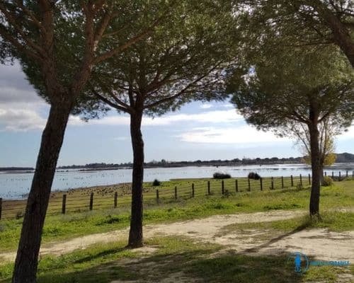 parque nacional de doñana