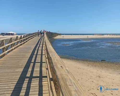 playa punta del caimán