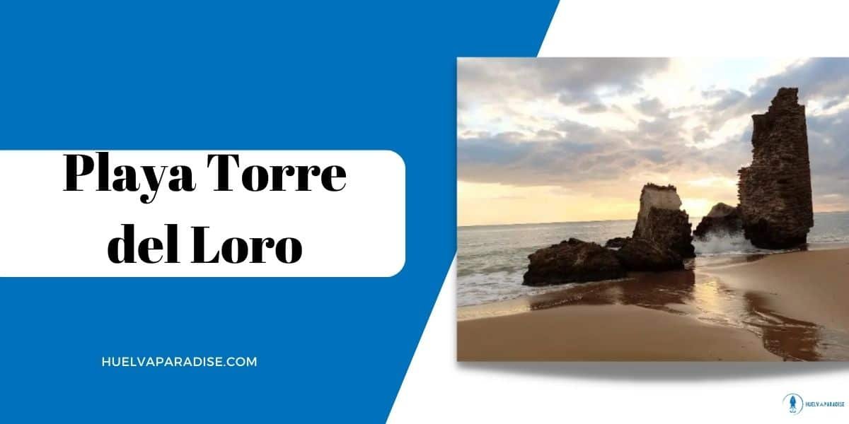 playas de playa torre del loro