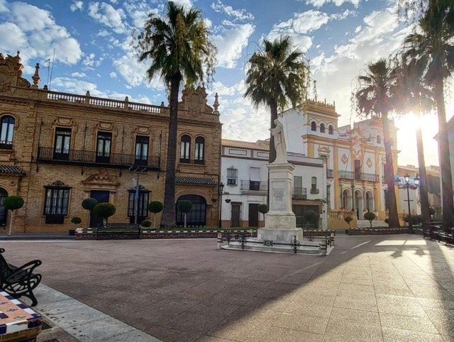 La palma del condado en tamaño mediano