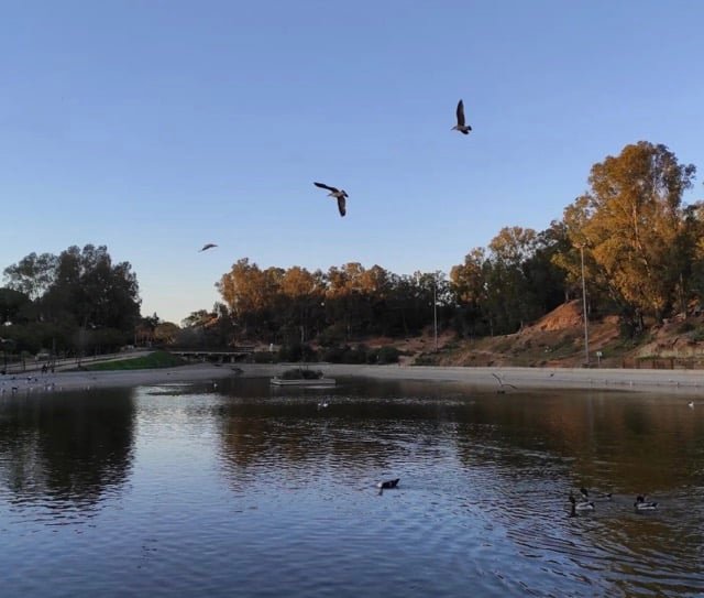 Zona del lago