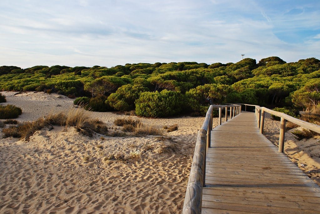 Playa de Los Enebrales