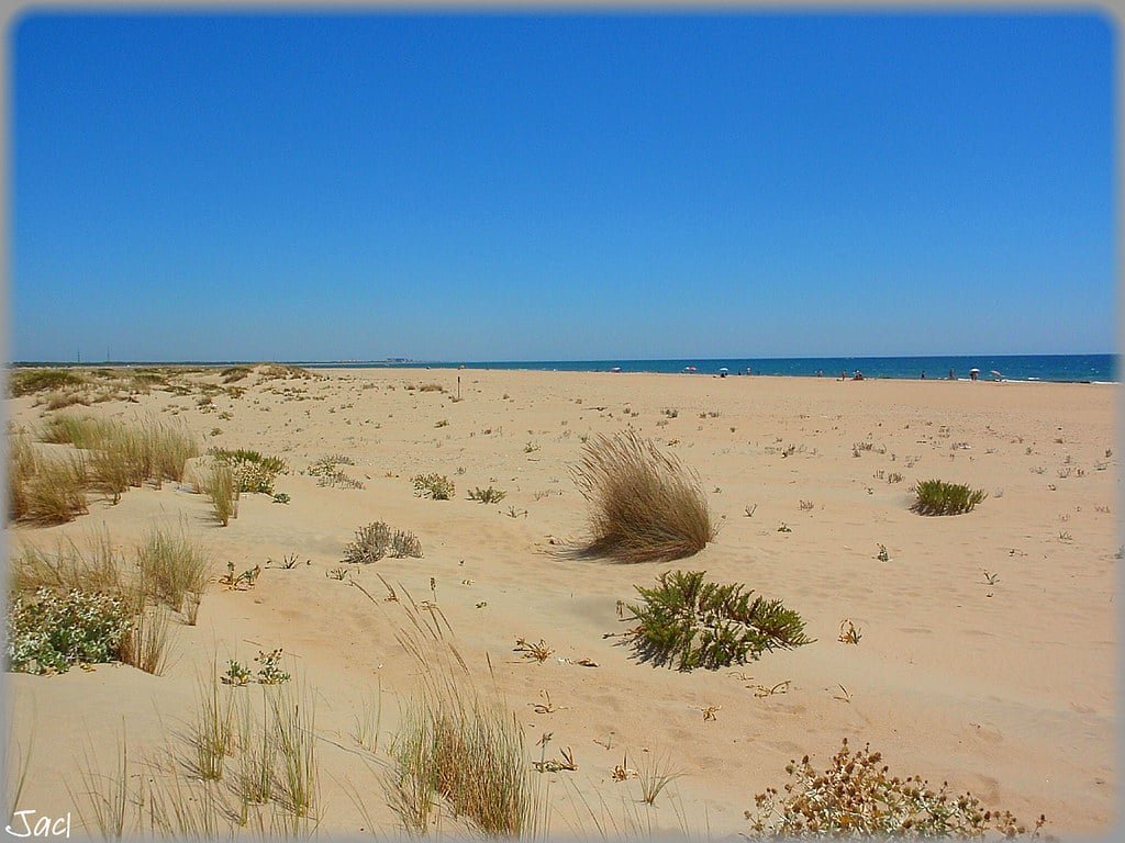 Playa de Nueva Umbría