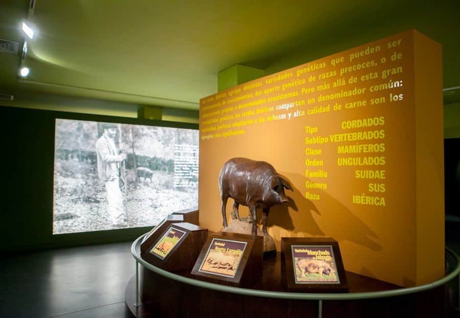 museo del jamon aracena 2
