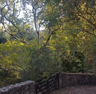 Parque natural de Sierra de Aracena y Picos de Aroche