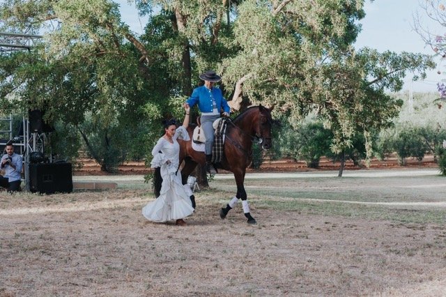 espectaculo a caballo empresa arte andaluz en tamaño mediano