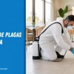 Control de plagas en Huelva: 5 empresas