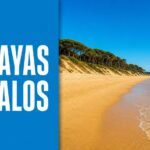Playas de Palos y Mazagón: 5 zonas